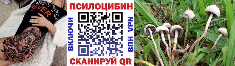 Купить закладки  Венёв  Псилоцибиновые грибы ЛСД 