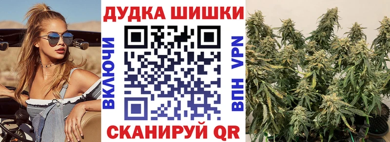 Бошки марихуана конопля  Купить где  Венёв 